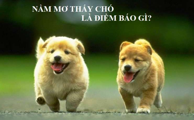 Tổng quan về trò chơi thẻ bài Ok9 Club - Ok9