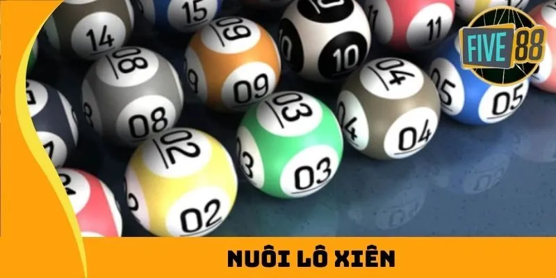 Hb88 bao gồm các trang web nền tảng trực tuyến phổ biến nhất - Hb88