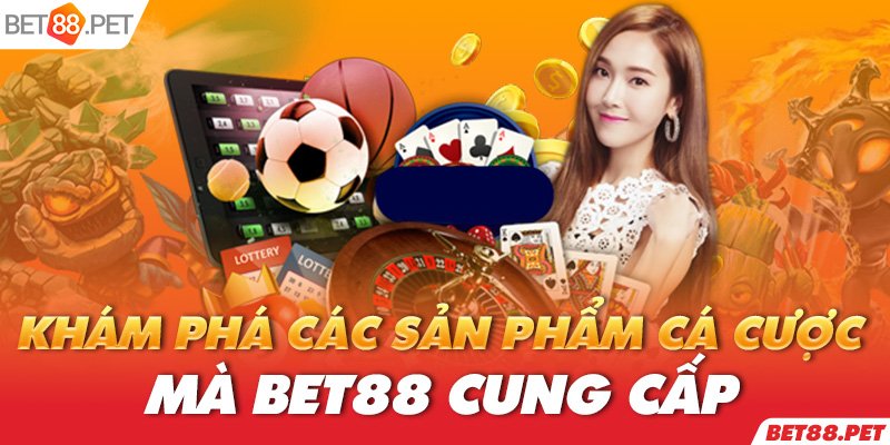 Tt88 và Chính sách của Tổ chức - Tt88