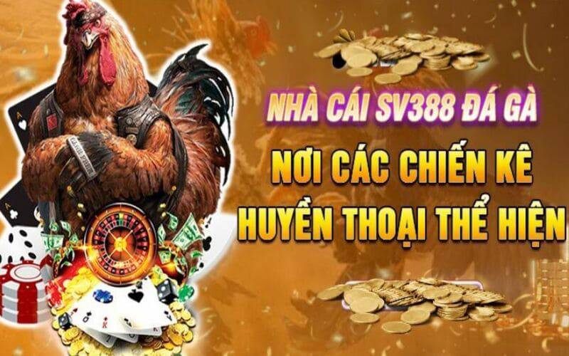 Tổng quan về các kênh dịch vụ khách hàng trong các trò chơi cấp độ Bwin - Bwin