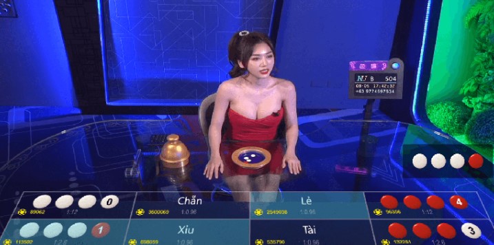 Tổng quan khu vực Mibet - Mibet