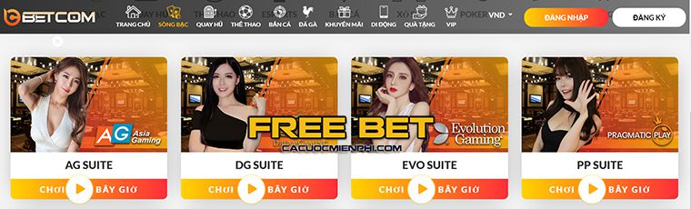 Các liên kết trỏ đến thông tin của Leo88 có an toàn không? - Leo88