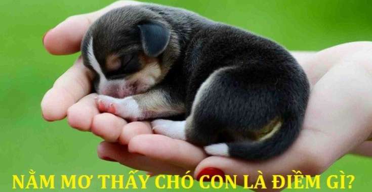 Hãy tổ chức cuộc thi một cách công bằng và khách quan trong các cuộc thi cấp độ 13Win - 13Win