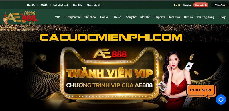 Hãy nhấp vào liên kết Bj66 để tìm hiểu về một số sản phẩm nổi bật của chúng tôi - Bj66