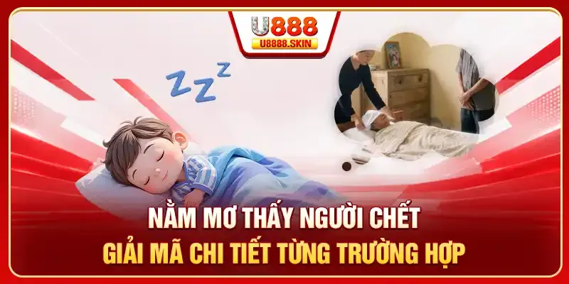 Hướng dẫn chọi gà mới nhất của 789Bet - 789Bet