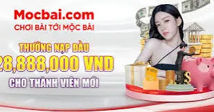Các thành viên hạng Vinbet được hưởng nhiều quyền lợi - Vinbet