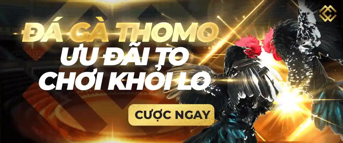 Hướng dẫn chi tiết: Cách đặt cược thông qua các công ty cá cược uy tín đạt chuẩn K9win - K9win