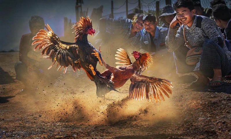 Qqvn xử lý các khoản rút tiền được thực hiện thông qua PIX như thế nào? - Qqvn